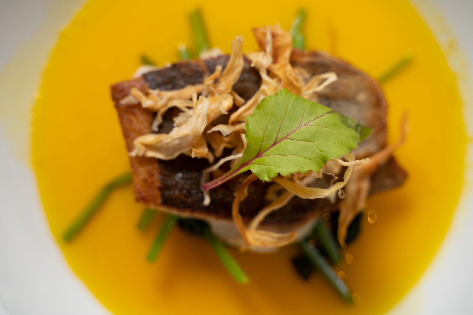 百と十 Hyaku to Juu